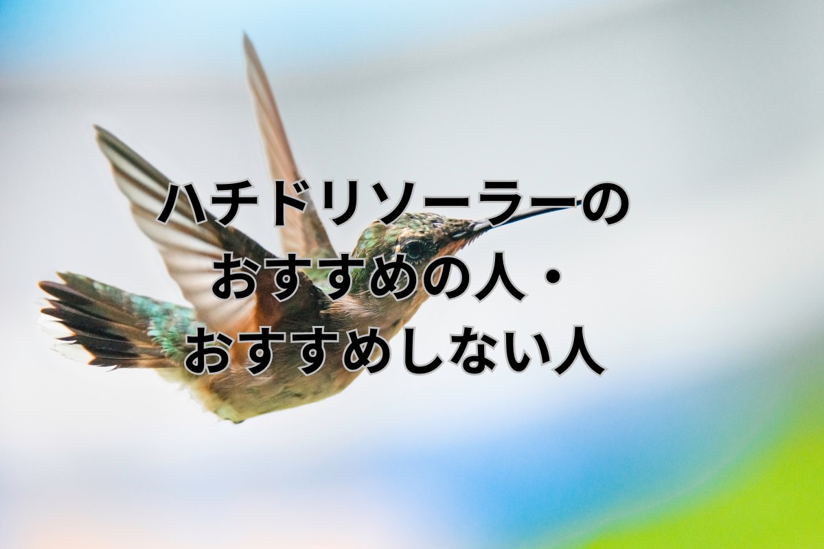 ハチドリソーラーの口コミ