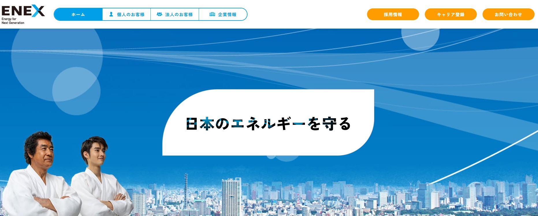 新日本エネックスの蓄電池の評判